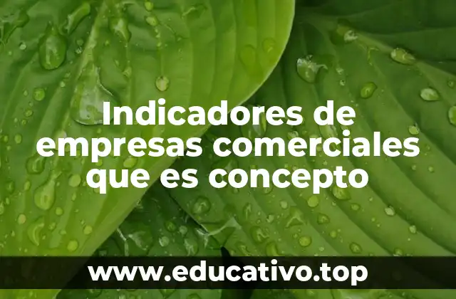 Indicadores de empresas comerciales que es concepto