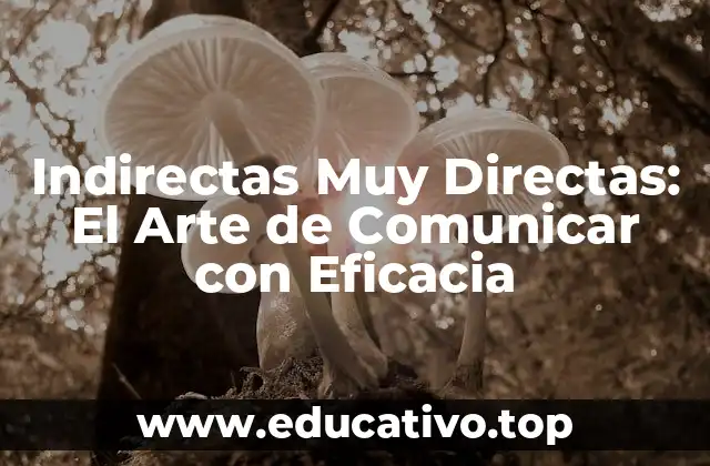 Indirectas Muy Directas: El Arte de Comunicar con Eficacia