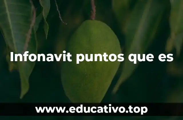 Infonavit puntos que es