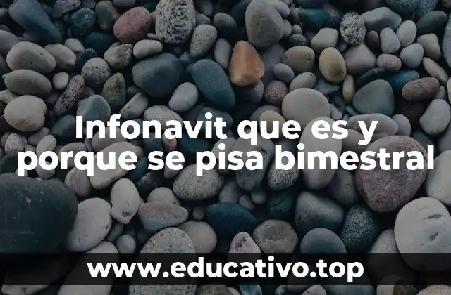 Infonavit que es y porque se pisa bimestral