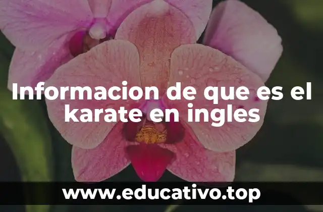 El karate como disciplina global