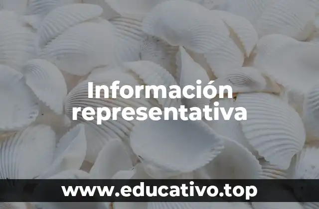 Información representativa