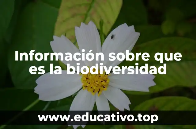 Información sobre que es la biodiversidad