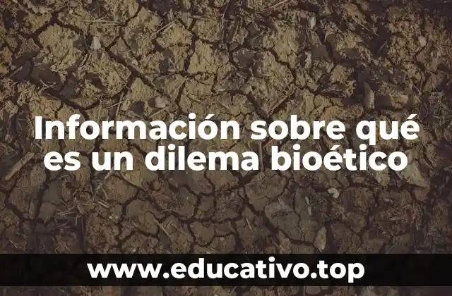 Información sobre qué es un dilema bioético