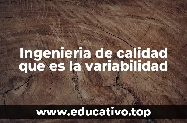 Ingenieria de calidad que es la variabilidad
