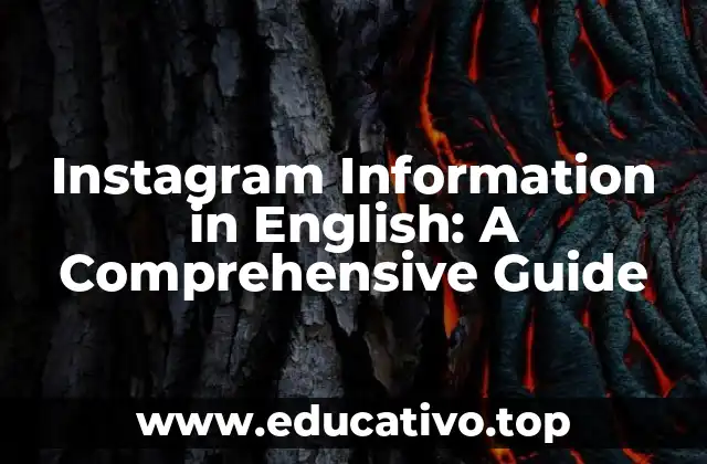 Instagram Information in English: A Comprehensive Guide