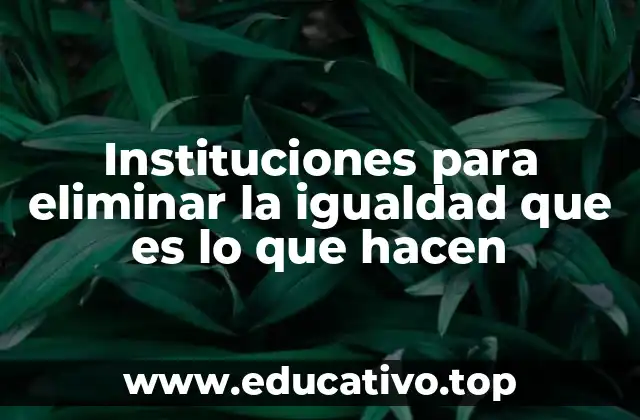 Instituciones para eliminar la igualdad que es lo que hacen