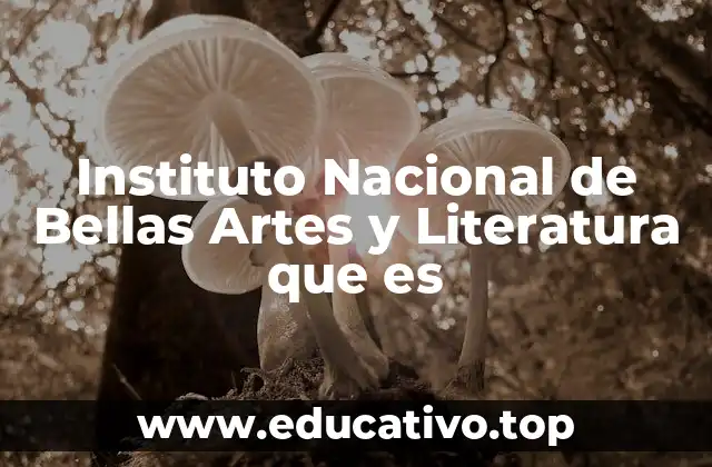 Instituto Nacional de Bellas Artes y Literatura que es