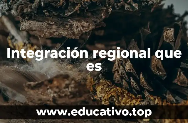 Integración regional que es