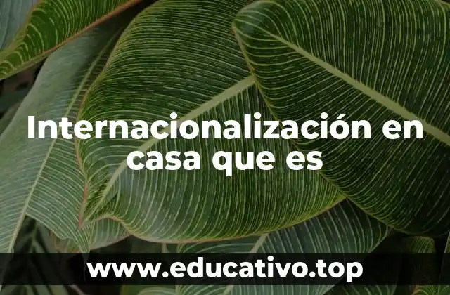 Internacionalización en casa que es