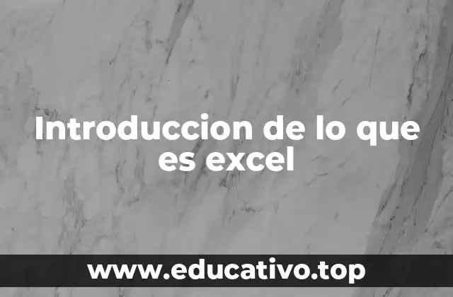 Introduccion de lo que es excel