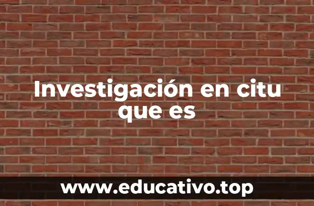 Investigación en citu que es
