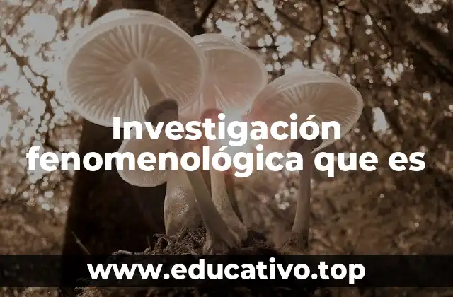 Investigación fenomenológica que es