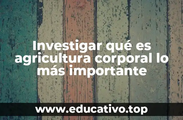 El equilibrio interno como base de una vida saludable