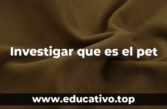 Investigar que es el pet