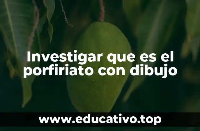 El Porfiriato y su impacto en la modernización de México