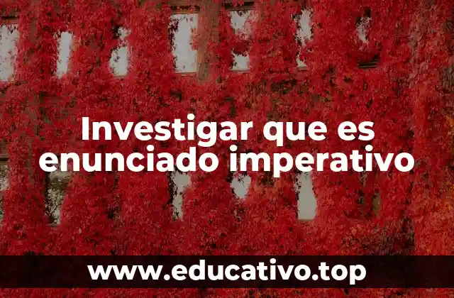 Investigar que es enunciado imperativo