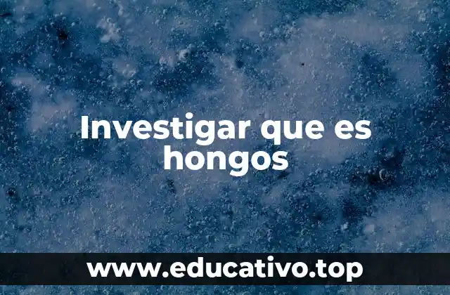 Investigar que es hongos