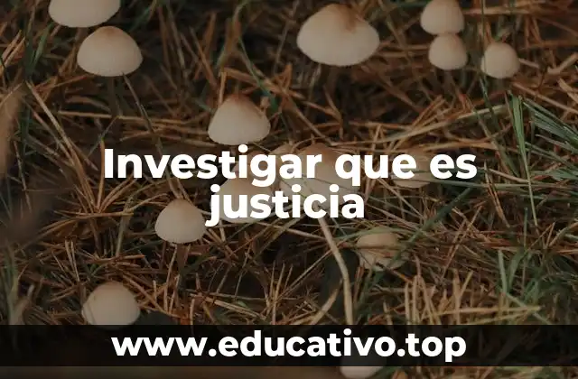 La importancia de comprender la justicia en la sociedad moderna