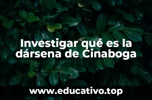 Investigar qué es la dársena de Cinaboga