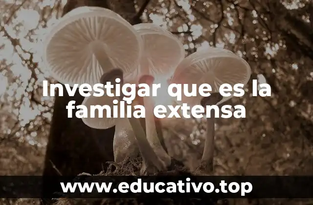 Investigar que es la familia extensa