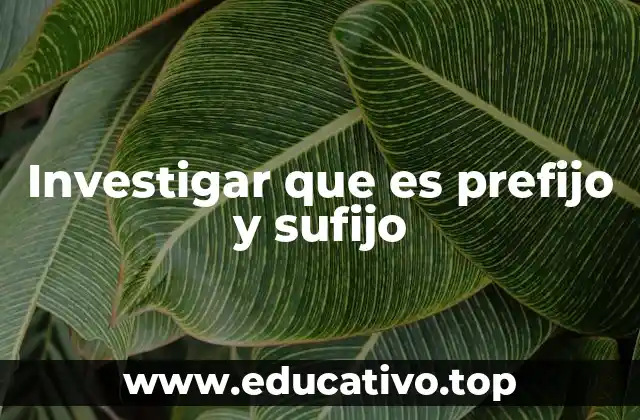 Investigar que es prefijo y sufijo