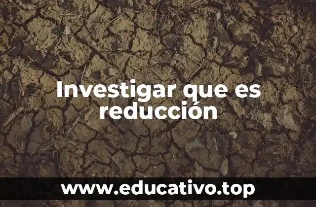 Investigar que es reducción