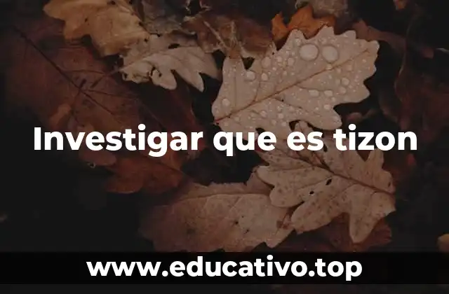 El uso de tizon en contextos no estándar