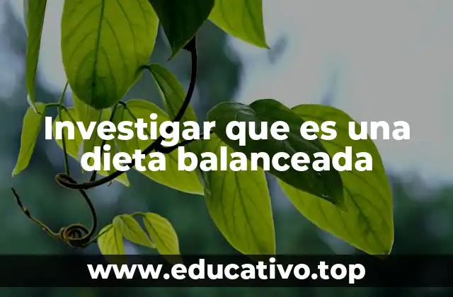 Investigar que es una dieta balanceada