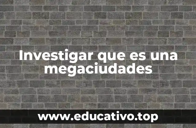 Investigar que es una megaciudades