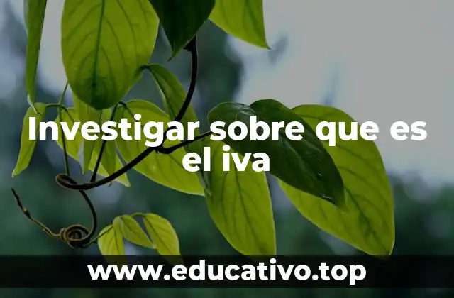 Investigar sobre que es el iva