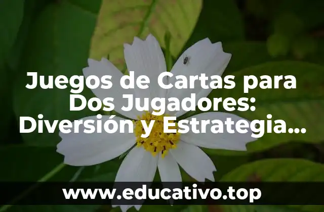 Juegos de Cartas para Dos Jugadores: Diversión y Estrategia para Parejas
