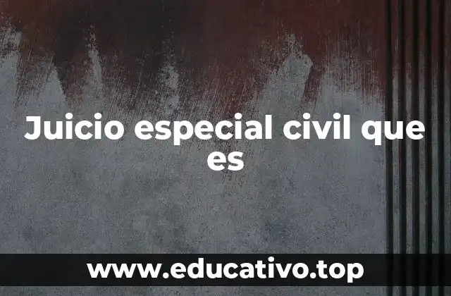 Juicio especial civil que es
