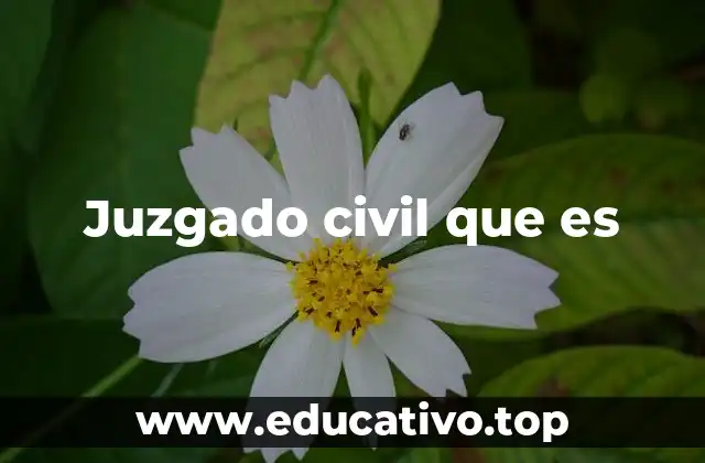 Juzgado civil que es