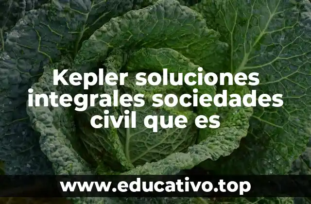 El rol de las organizaciones como Kepler en la transformación social