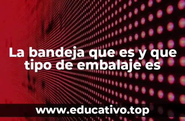 La bandeja que es y que tipo de embalaje es