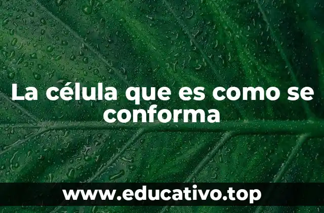 La célula que es como se conforma