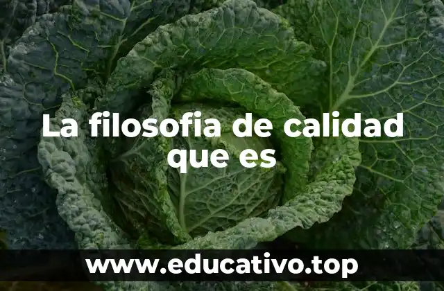 La filosofia de calidad que es