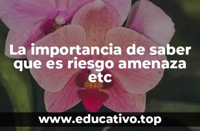 La importancia de saber que es riesgo amenaza etc