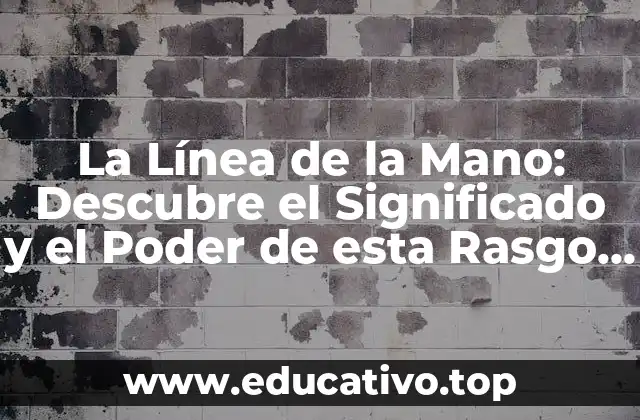 La Línea de la Mano: Descubre el Significado y el Poder de esta Rasgo Único