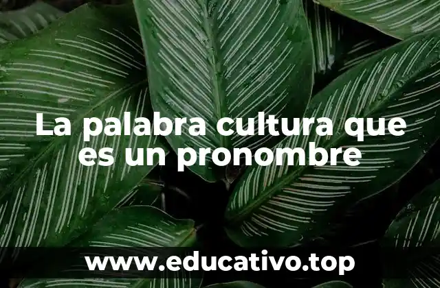 La palabra cultura que es un pronombre