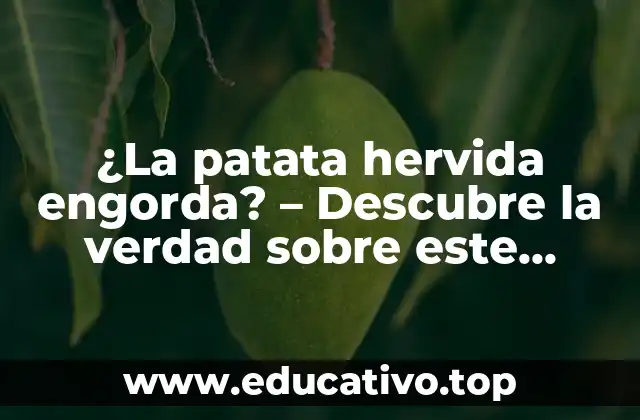 Valor nutricional de la patata hervida