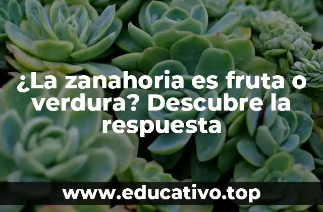 ¿La zanahoria es fruta o verdura? Descubre la respuesta