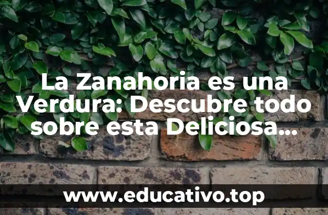 La Zanahoria es una Verdura: Descubre todo sobre esta Deliciosa Hortícola