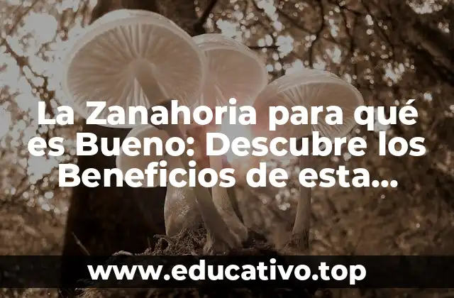 La Zanahoria para qué es Bueno: Descubre los Beneficios de esta Verdura