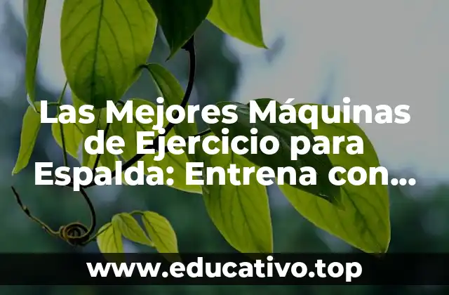 Las Mejores Máquinas de Ejercicio para Espalda: Entrena con Eficacia