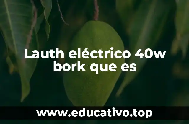Lauth eléctrico 40w bork que es