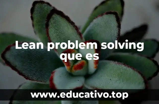 Lean problem solving que es