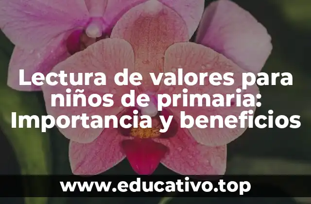 Lectura de valores para niños de primaria: Importancia y beneficios