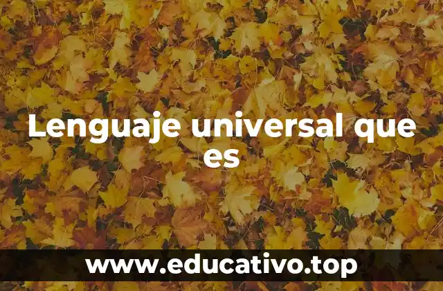 Lenguaje universal que es